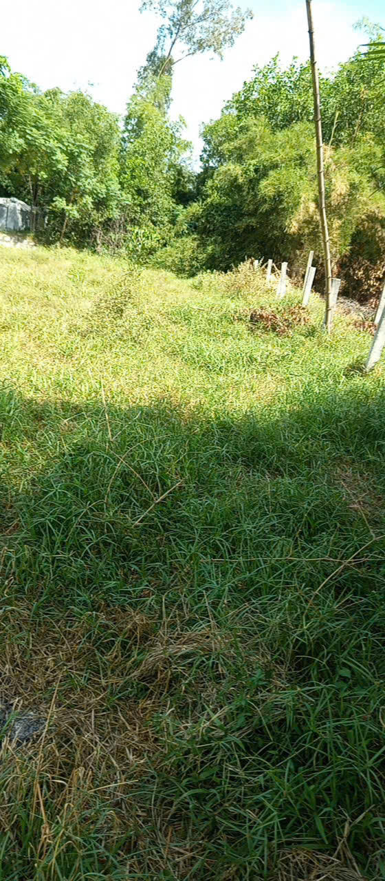 BÁN ĐẤT CHÍNH CHỦ 3tr5/m2 đường Nguyễn viết xuân, tp Huế