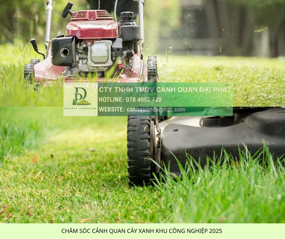 DỊCH VỤ BẢO DƯỠNG CẢNH QUAN KCN BIÊN HÒA ĐỒNG NAI UY TÍN 2025