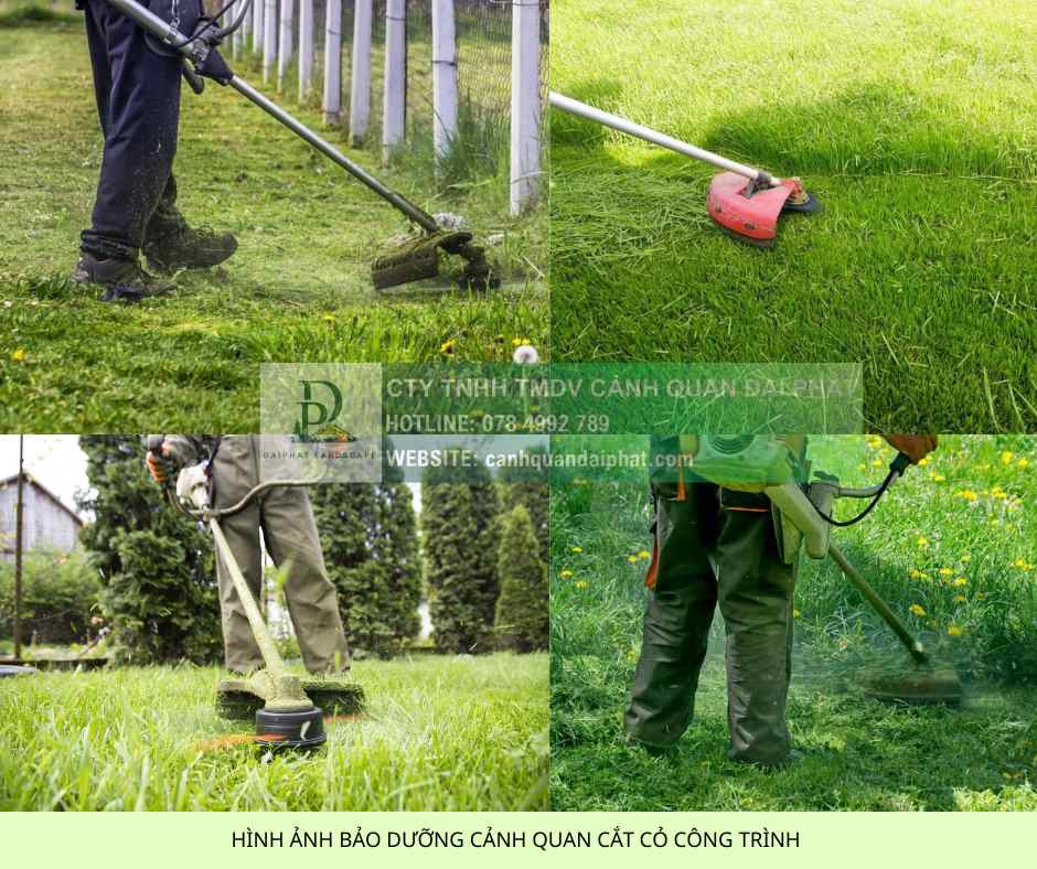 Cắt Cỏ Phát Hoang Giá Rẻ Đồng Nai, TPHCM, Bình Dương, Long An