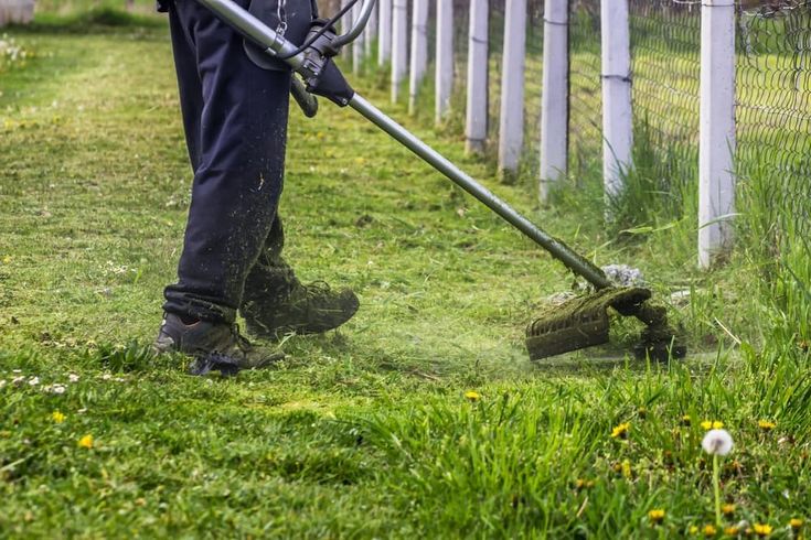 Chăm Sóc Cây Xanh Khu Công Nghiệp VSIP Bình Dương|Đại Phát
