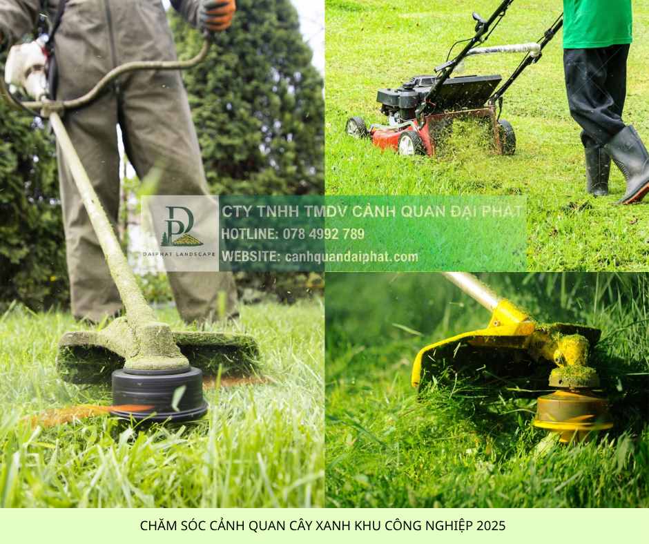 Bảo Dưỡng Cảnh Quan Khu Công nghiệp Đồng Nai| CQ Đại Phát