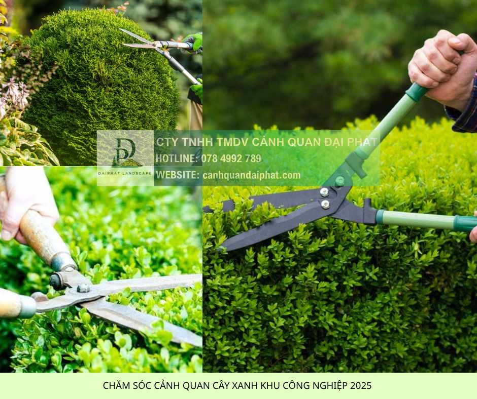 Dịch Vụ Chăm Sóc Cảnh Quan KCN Nhơn Trạch Đồng Nai Trọn Gói DPL