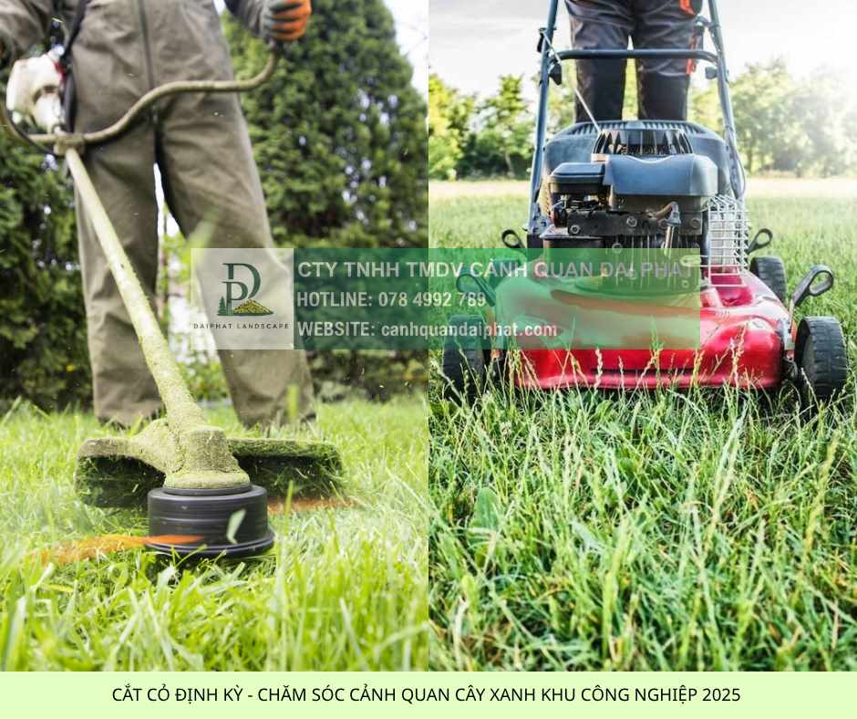 DỊCH VỤ CHĂM SÓC CẢNH QUAN KCN LỘC AN BÌNH SƠN TRỌN GÓI DPL